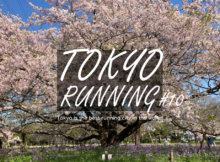 東京RUN#10 スタジオジブリ＆小金井公園一周ランニングコース→おふろの王様