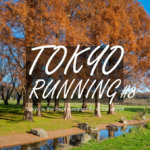 東京RUN#8 水辺25kmランニングコース 江戸川→水元公園（メタセコイアの森）→竜泉寺の湯