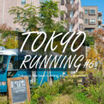東京RUN#6 LSD30kmコース 和田堀公園→下北沢→駒沢公園→砧公園→二子玉川